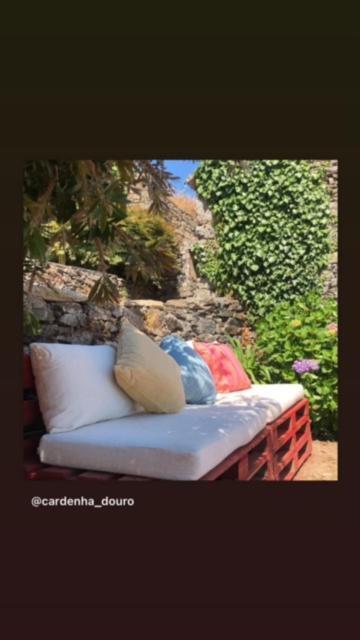메사오프리오 Cardenha Do Douro 빌라 외부 사진