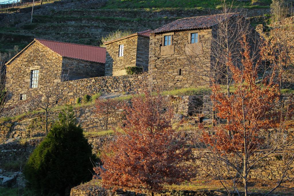 메사오프리오 Cardenha Do Douro 빌라 객실 사진